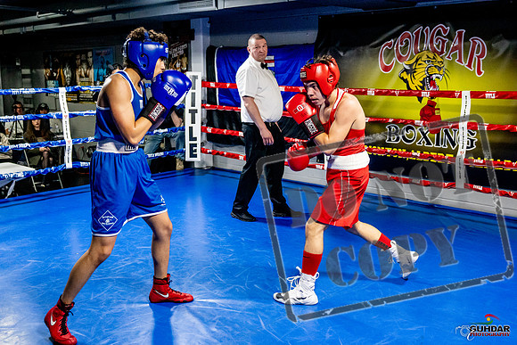Cougar Boxing Basement Brawl -0455