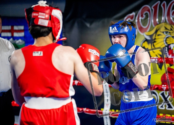 Cougar boxing June 7th 2025-0924