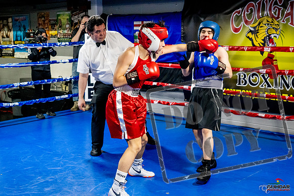 Cougar Boxing Basement Brawl -0486