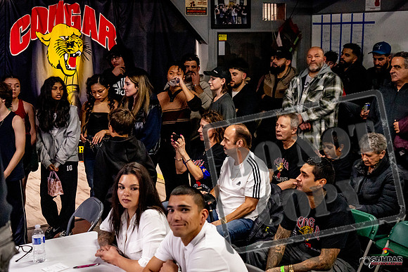 Cougar Boxing Basement Brawl -0460