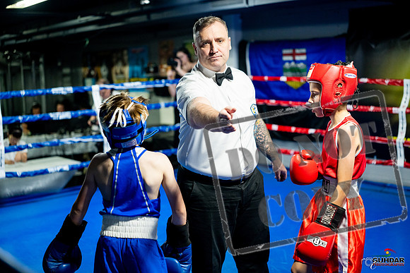 Cougar boxing June 7th 2025-0078