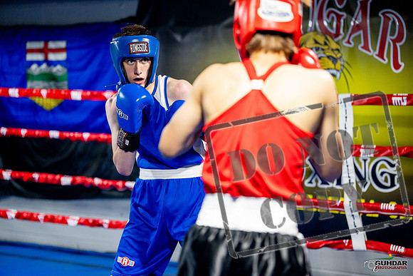 Cougar boxing June 7th 2025-0821