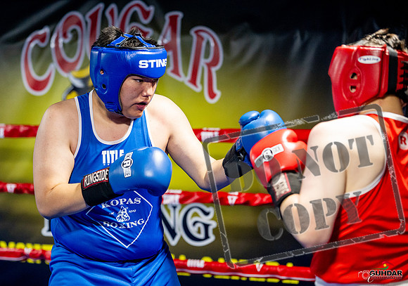Cougar boxing June 7th 2025-0710