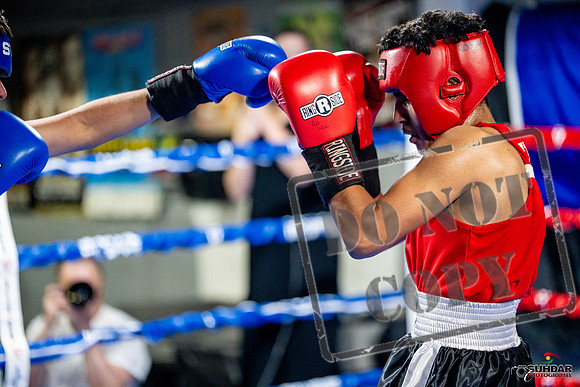 Cougar boxing June 7th 2025-0620