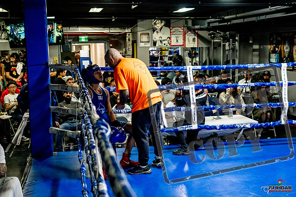 Cougar Boxing Basement Brawl -0452