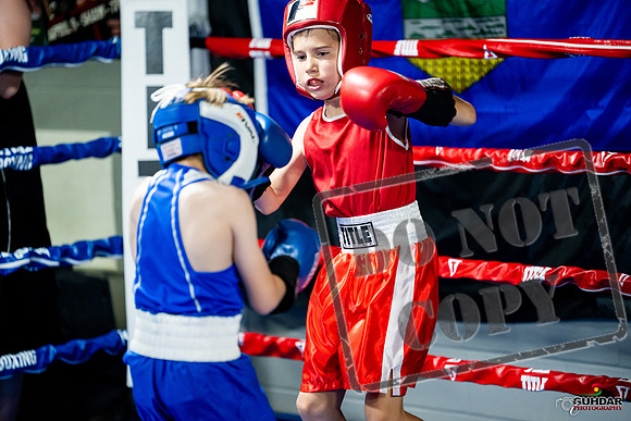 Cougar boxing June 7th 2025-0028