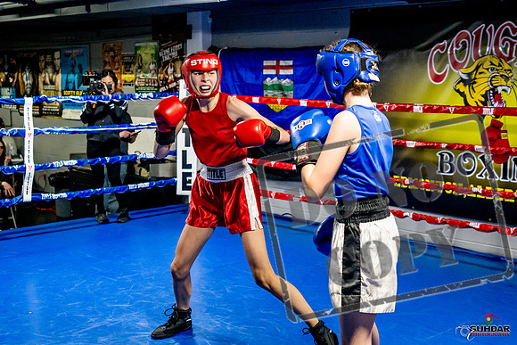 Cougar Boxing Basement Brawl -0593