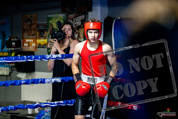 Cougar boxing June 7th 2025-0800