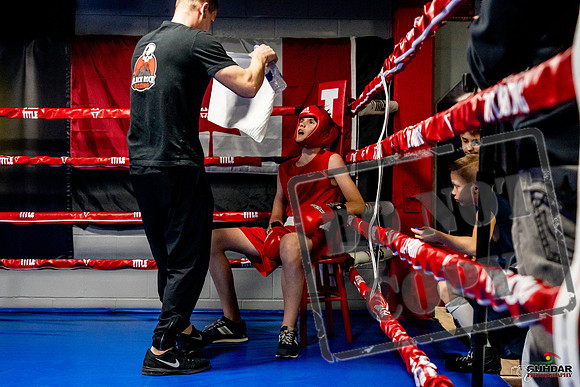 Cougar Boxing Basement Brawl -0198