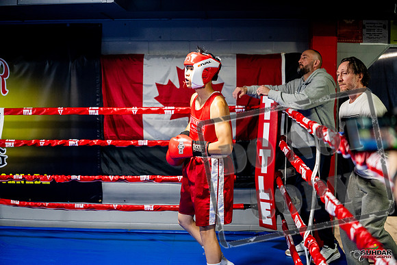 Cougar boxing June 7th 2025-0089