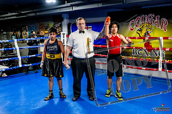 Cougar Boxing Basement Brawl -0311