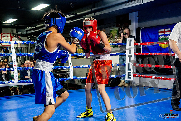 Cougar Boxing Basement Brawl -0241