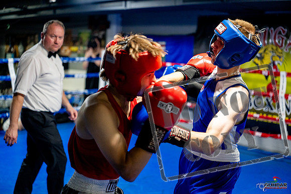 Cougar boxing June 7th 2025-0815