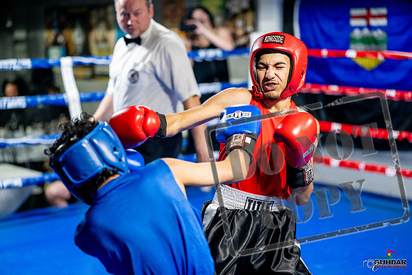 Cougar boxing June 7th 2025-0187