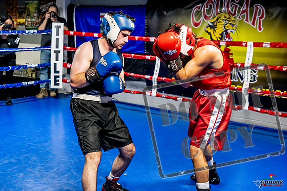 Cougar Boxing Basement Brawl -0413