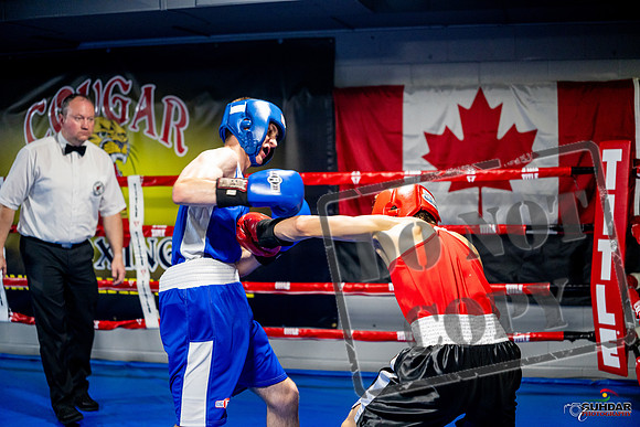 Cougar boxing June 7th 2025-0848