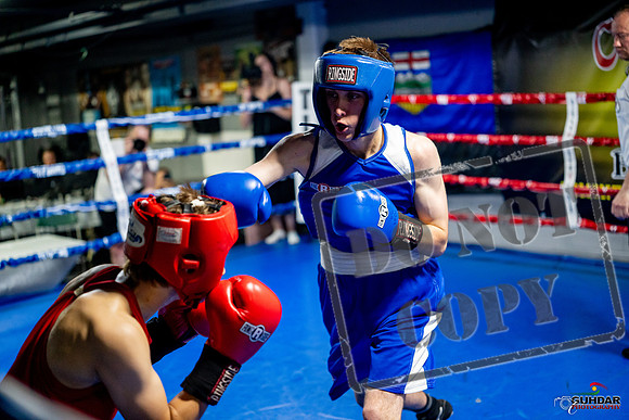 Cougar boxing June 7th 2025-0796