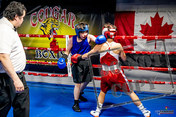Cougar Boxing Basement Brawl -0507