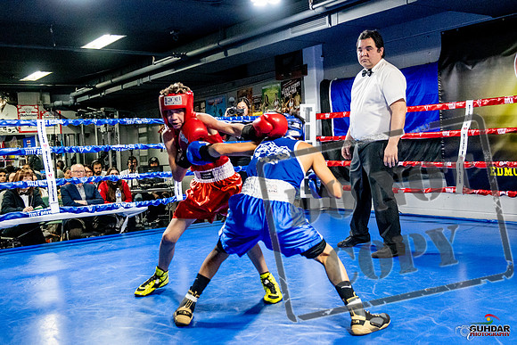 Cougar Boxing Basement Brawl -0264