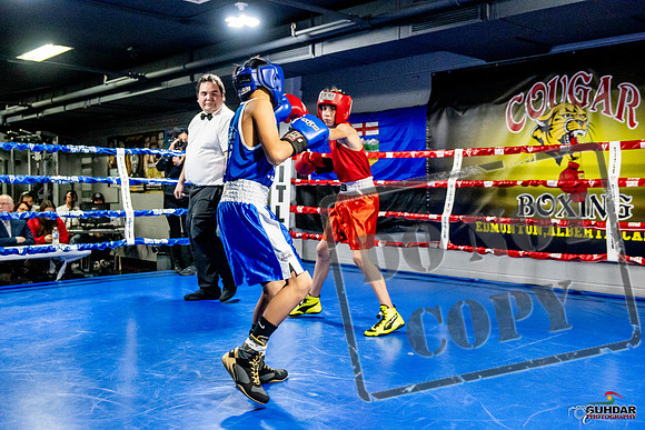 Cougar Boxing Basement Brawl -0220