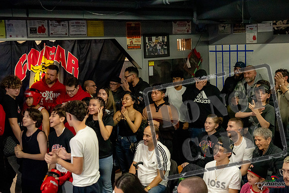 Cougar Boxing Basement Brawl -0275
