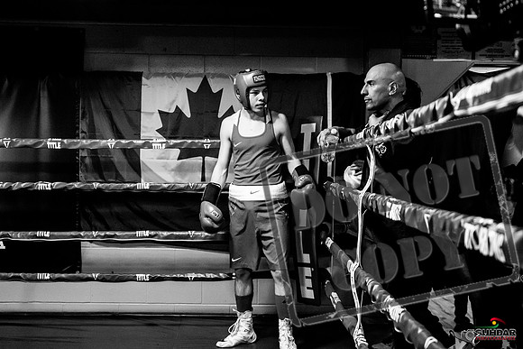 Cougar Boxing Basement Brawl -0433