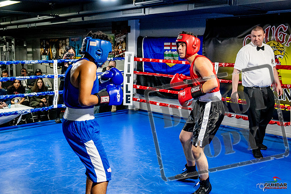 Cougar Boxing Basement Brawl -0612