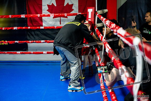 Cougar boxing June 7th 2025-0023