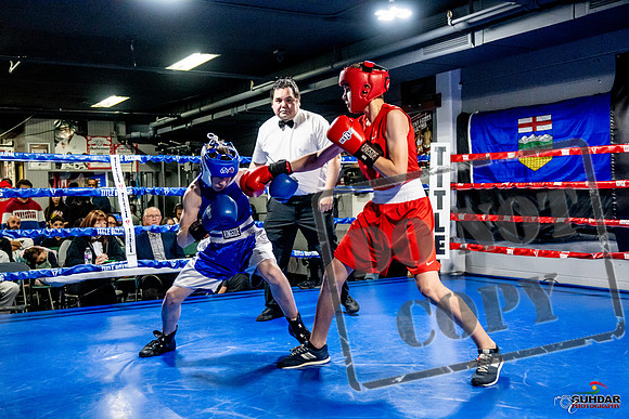 Cougar Boxing Basement Brawl -0175