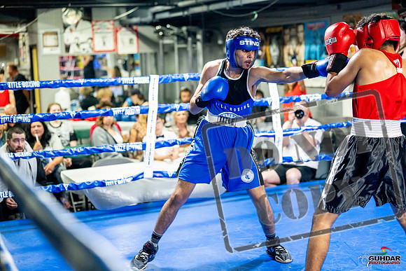 Cougar boxing June 7th 2025-0607