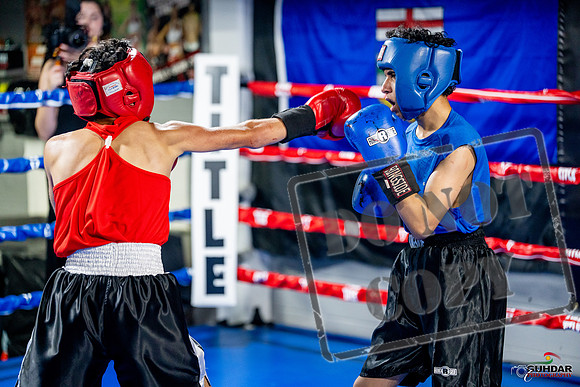 Cougar boxing June 7th 2025-0234