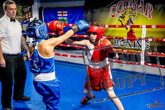 Cougar Boxing Basement Brawl -0338