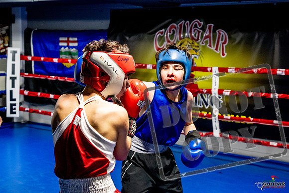 Cougar Boxing Basement Brawl -0505