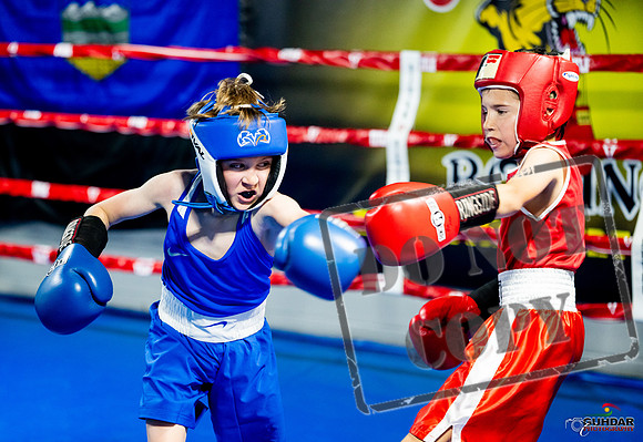 Cougar boxing June 7th 2025-0066