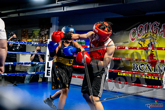 Cougar Boxing Basement Brawl -0290