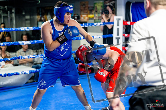 Cougar boxing June 7th 2025-0773