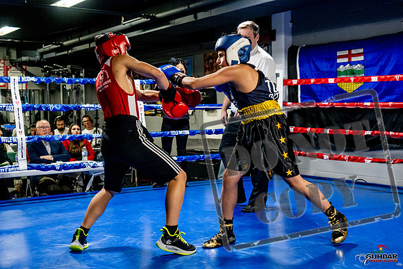 Cougar Boxing Basement Brawl -0289
