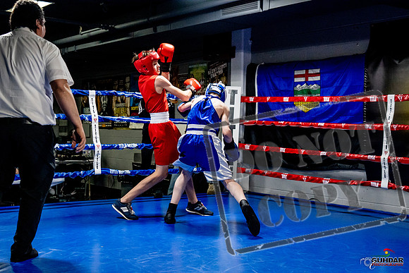 Cougar Boxing Basement Brawl -0187