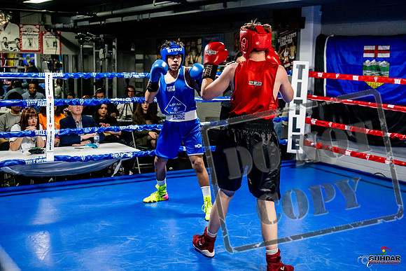 Cougar Boxing Basement Brawl -0534