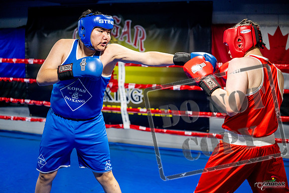 Cougar boxing June 7th 2025-0748