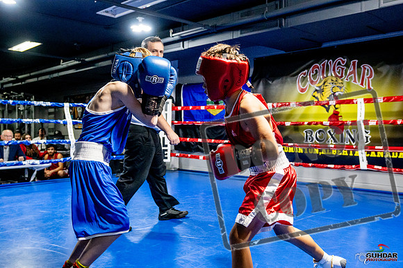 Cougar Boxing Basement Brawl -0075
