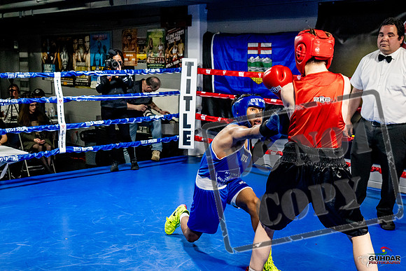 Cougar Boxing Basement Brawl -0519