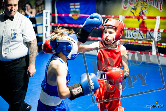 Cougar boxing June 7th 2025-0075
