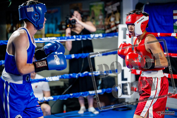 Cougar boxing June 7th 2025-0144