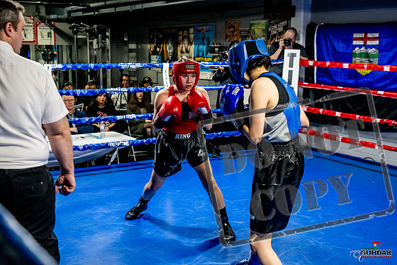 Cougar Boxing Basement Brawl -0565