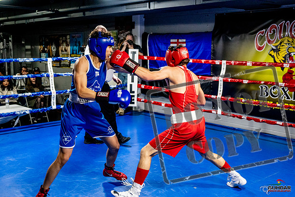 Cougar Boxing Basement Brawl -0457