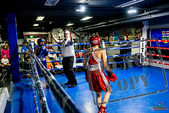 Cougar Boxing Basement Brawl -0327