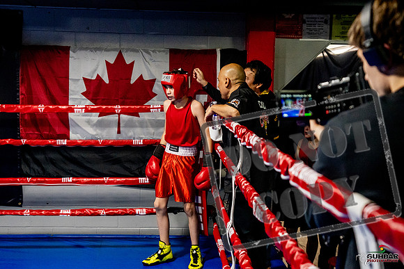 Cougar Boxing Basement Brawl -0213