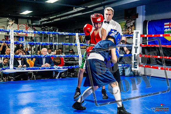 Cougar Boxing Basement Brawl -0052