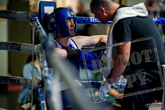 Cougar boxing June 7th 2025-0824